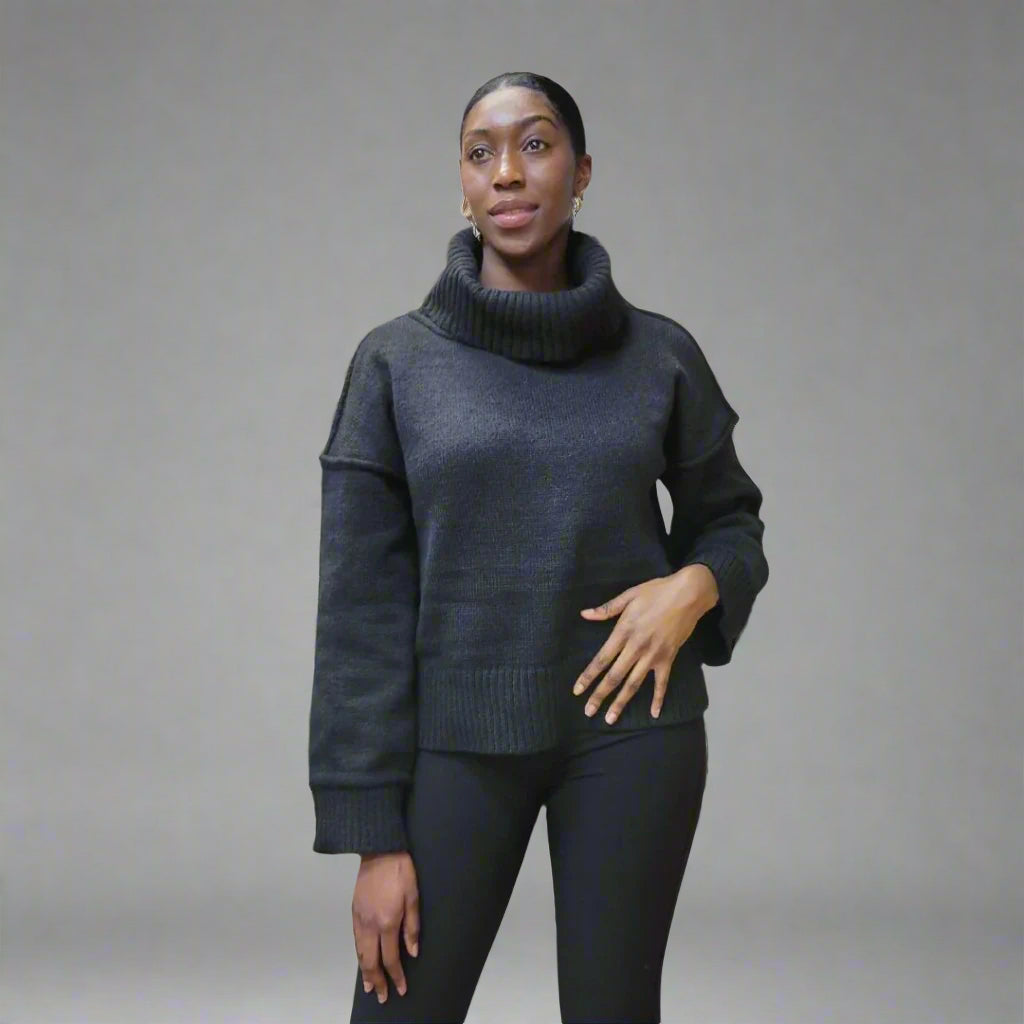 Turtleneck Solid Sweater