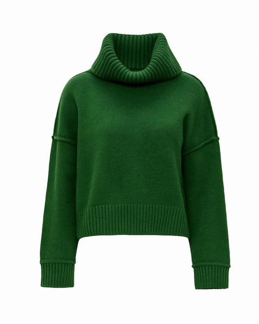 Turtleneck Solid Sweater