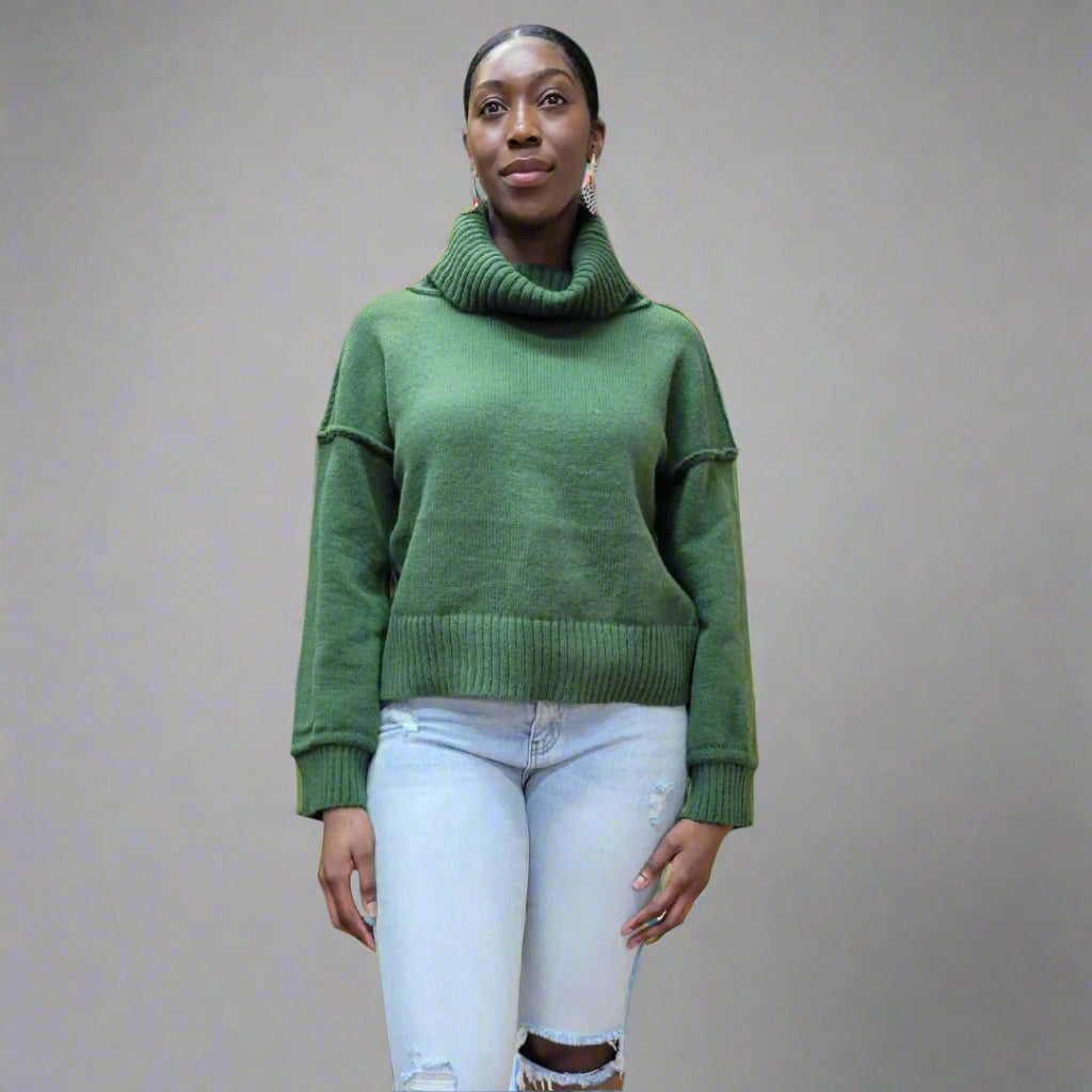 Turtleneck Solid Sweater