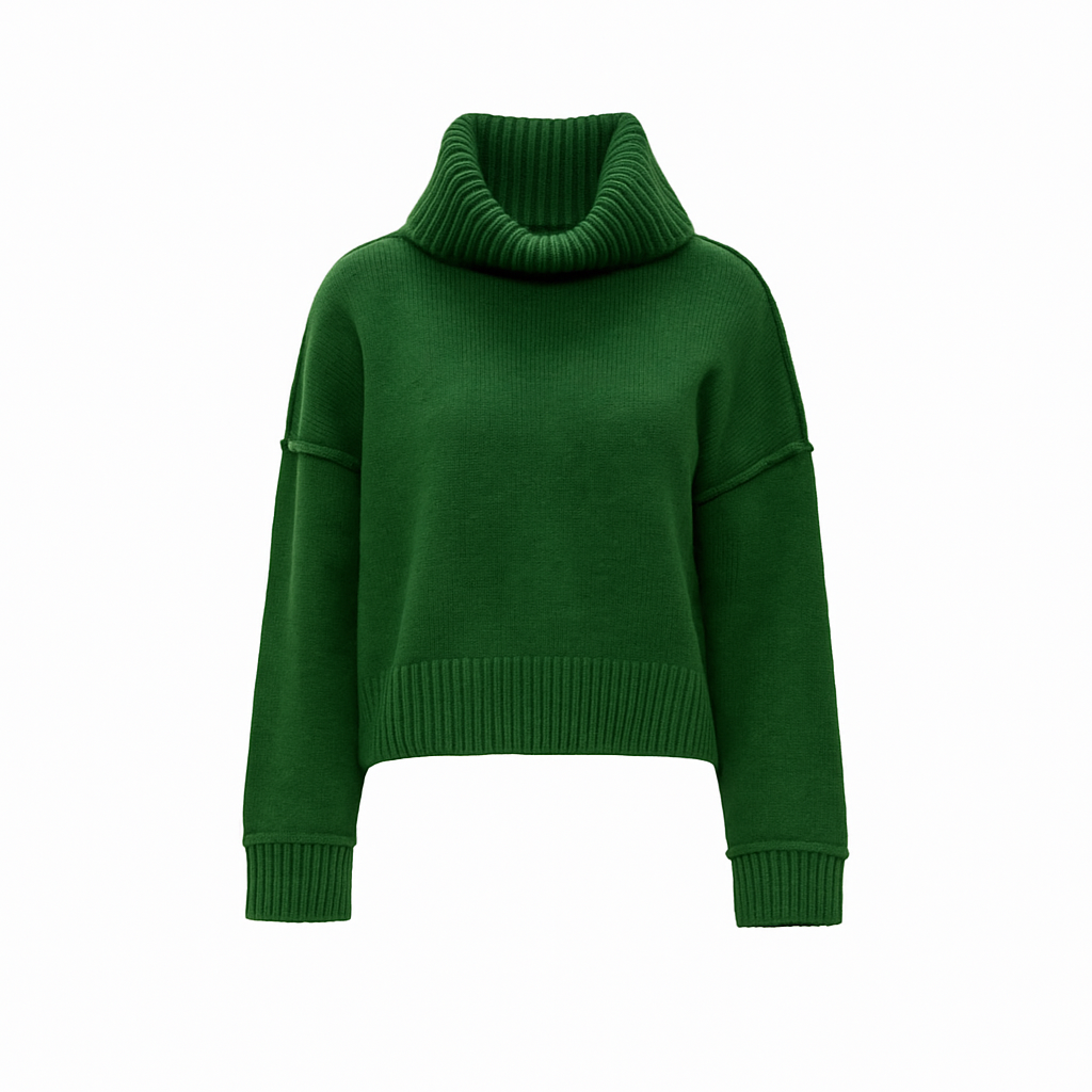 Turtleneck Solid Sweater