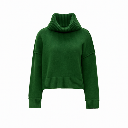 Turtleneck Solid Sweater